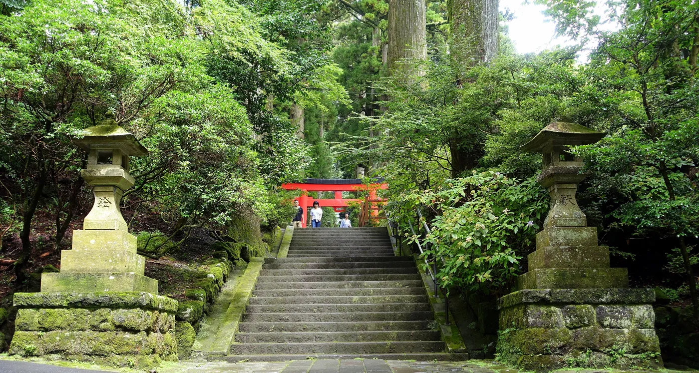 A wide flight of stone steps between two moss-covered stone lanterns, rising through tall trees to a red torii